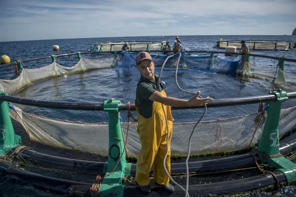 Technicien sur les cages aquacoles