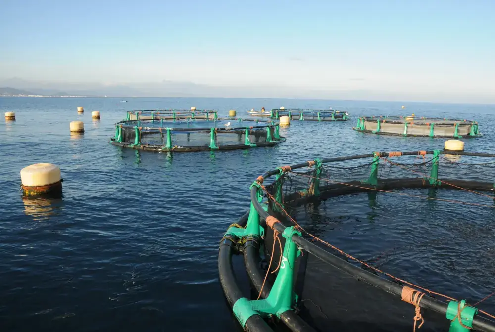 Les Eaux Vives du Détroit de Gibraltar